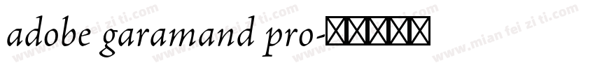 adobe garamand pro字体转换